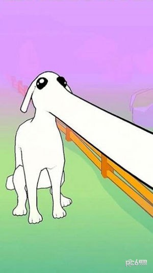 长鼻狗奔跑
