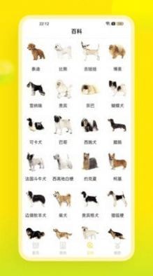 易超科
